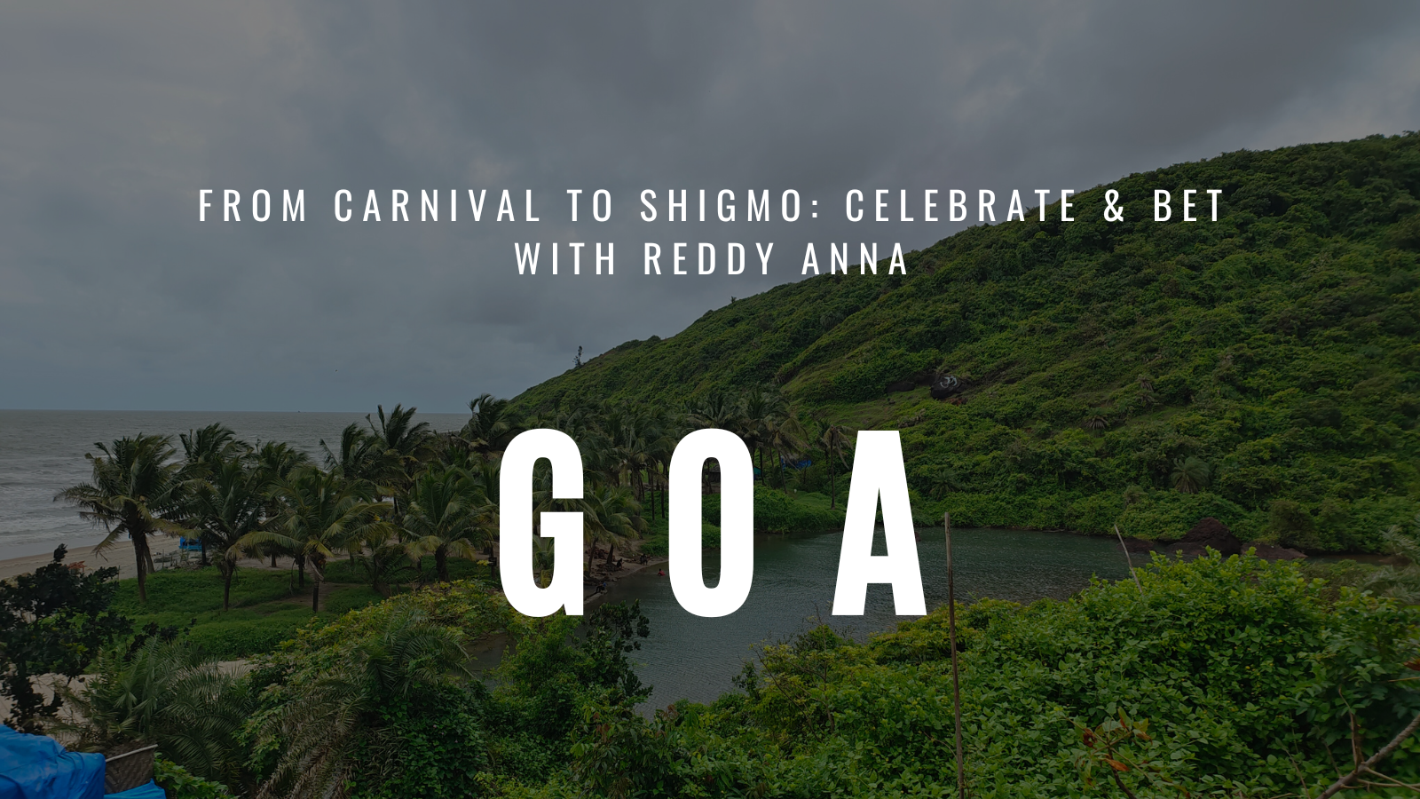 From Carnival to Shigmo: Celebrate & Bet with Reddy Anna in Goa