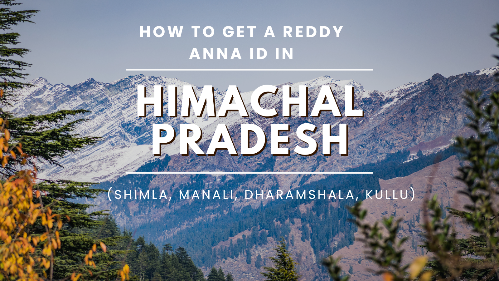 How to Get a Reddy Anna ID in Himachal Pradesh (Shimla, Manali, Kullu)