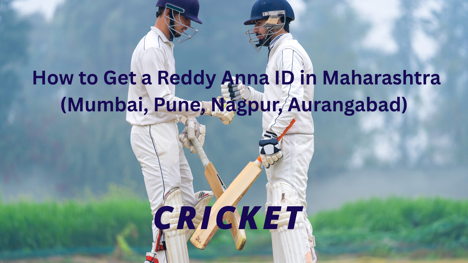  How to Get a Reddy Anna ID in Maharashtra (Mumbai, Pune, Nagpur, Aurangabad)