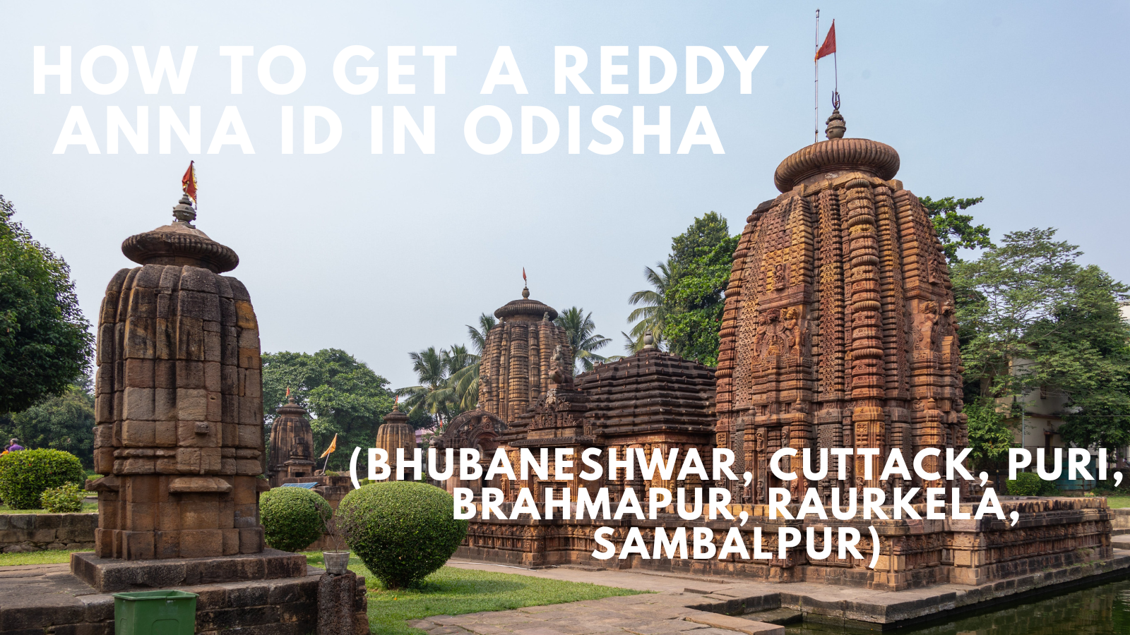 How to Get a Reddy Anna ID in Odisha (Bhubaneshwar, Puri, Sambalpur)