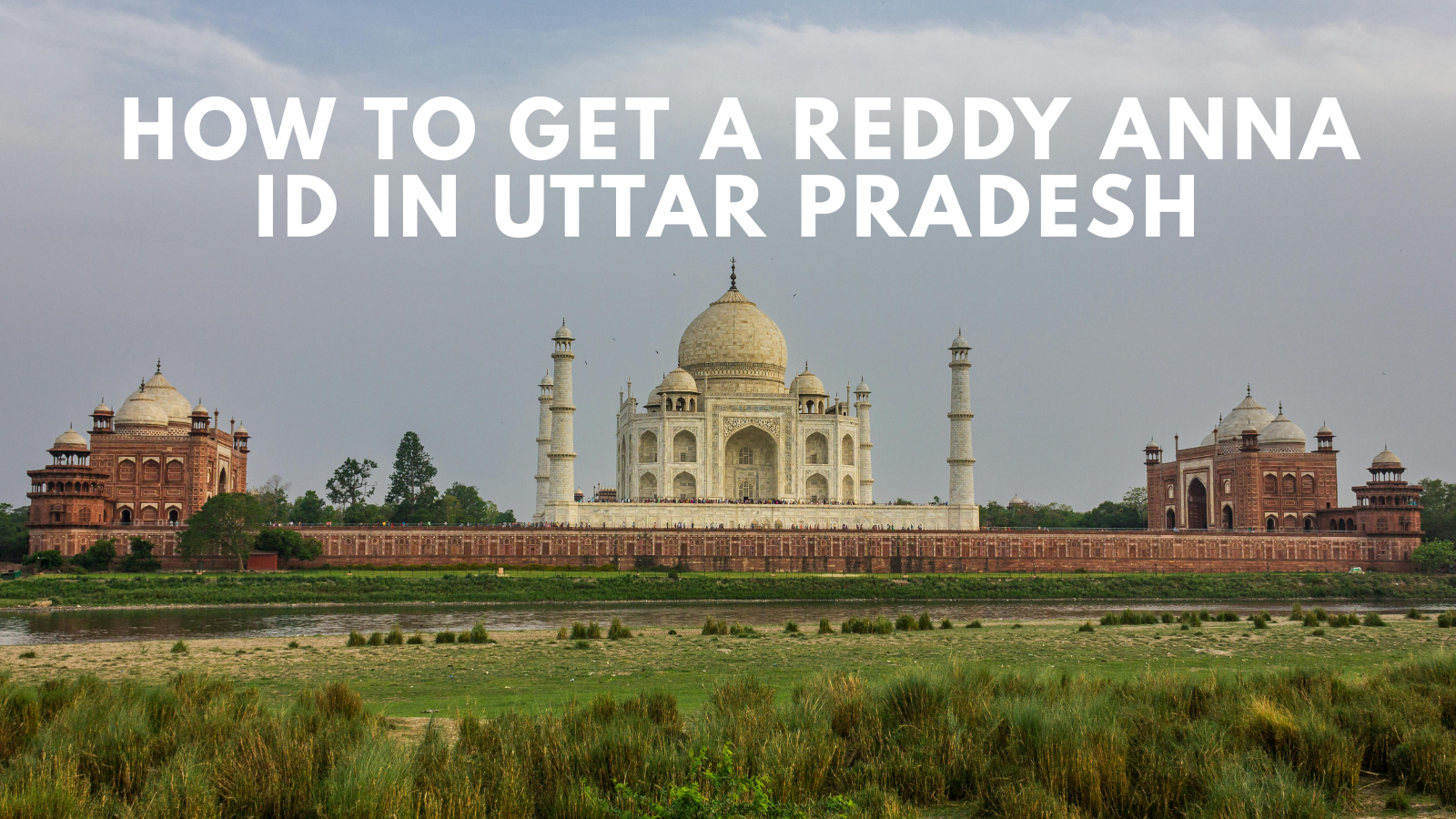 How to Get a Reddy Anna ID in Uttar Pradesh (Lucknow, Varanasi, Prayagraj)