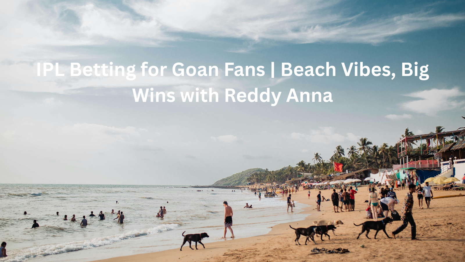 IPL Betting for Goan Fans | Beach Vibes, Big Wins with Reddy Anna