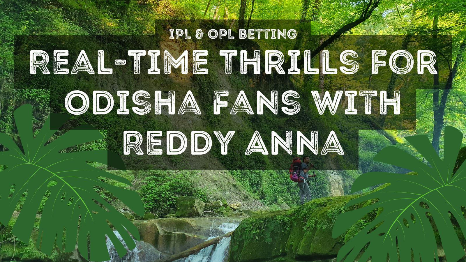 IPL & OPL Betting: Real-Time Thrills for Odisha Fans with Reddy Anna