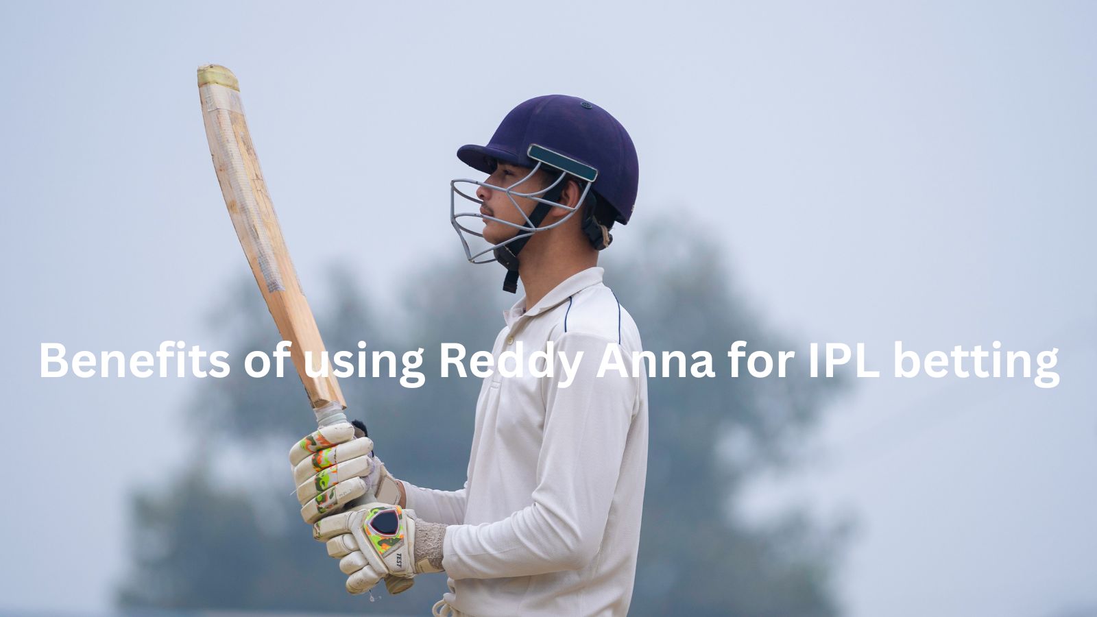 Top Benefits of Using Reddy Anna for IPL Betting in 2025