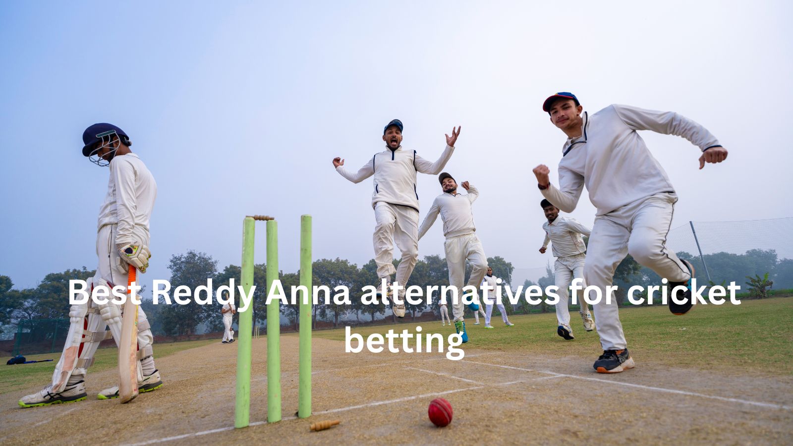 Best Reddy Anna Alternatives for Cricket Betting – 2025 Options