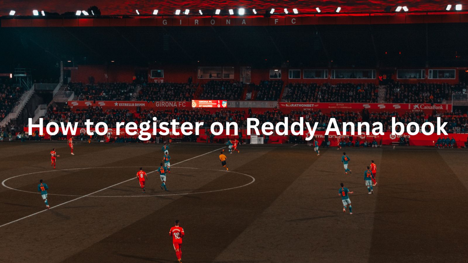 How to Register on Reddy Anna Book in 3 Simple Steps