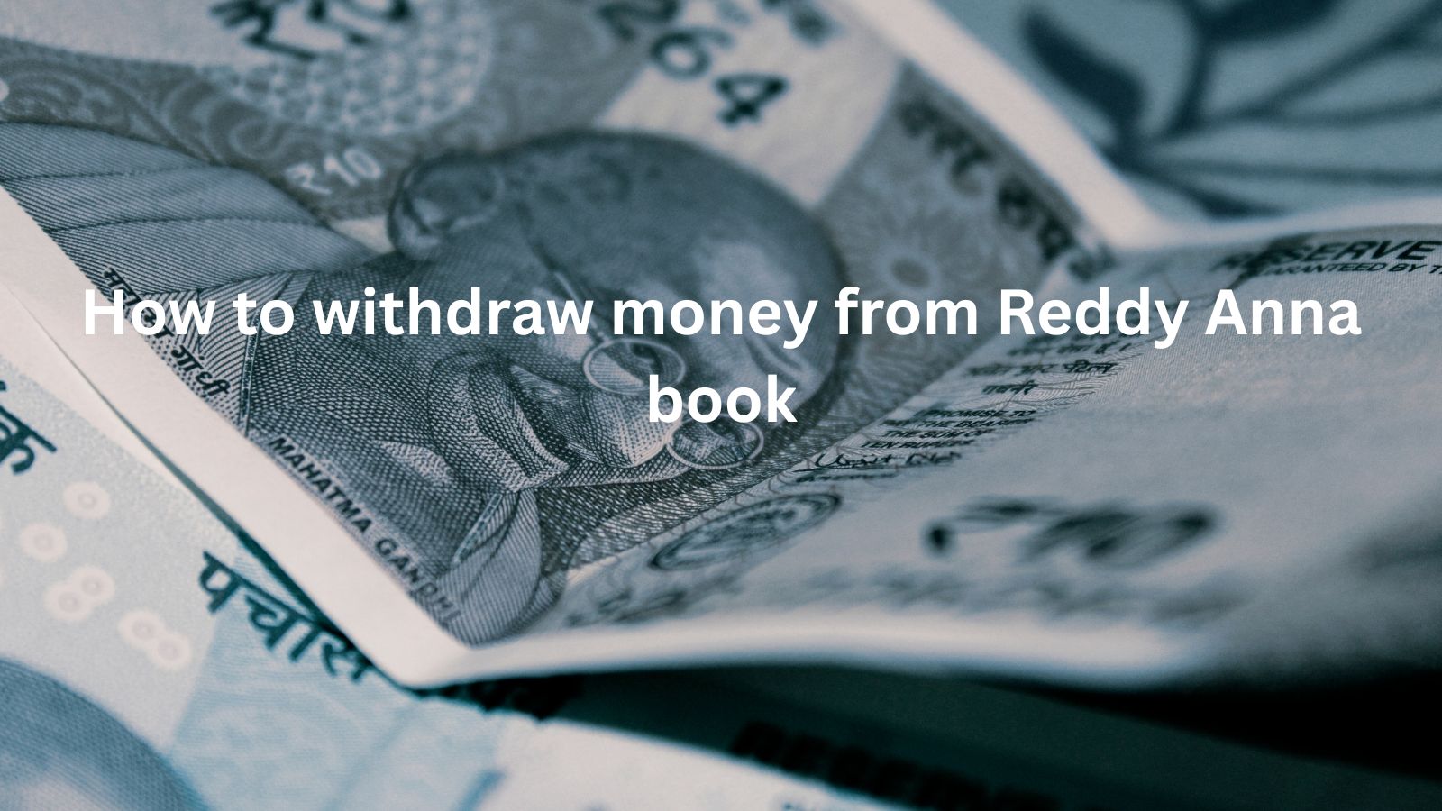 How to Withdraw Money from Reddy Anna Book Securely in 2025