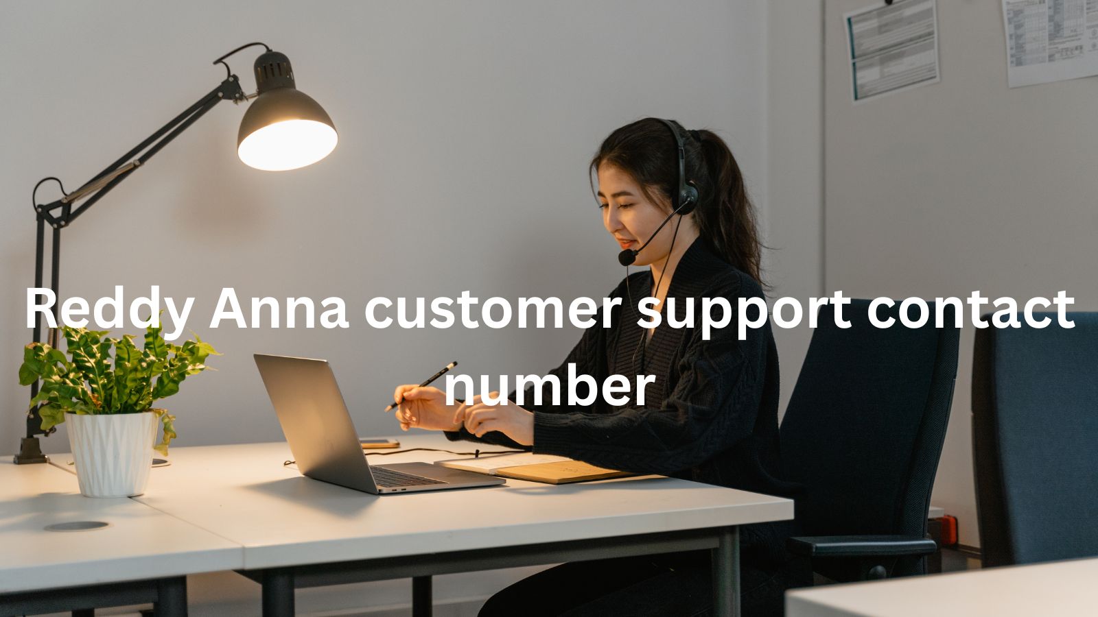 Reddy Anna Customer Support Contact Number – Your Fastest Help Guide