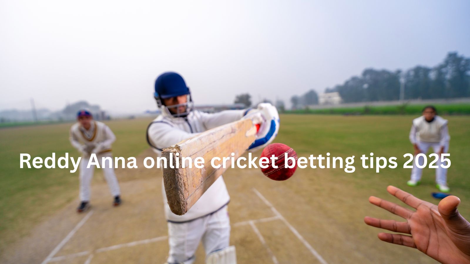Reddy Anna Online Cricket Betting Tips 2025 for Winning Big
